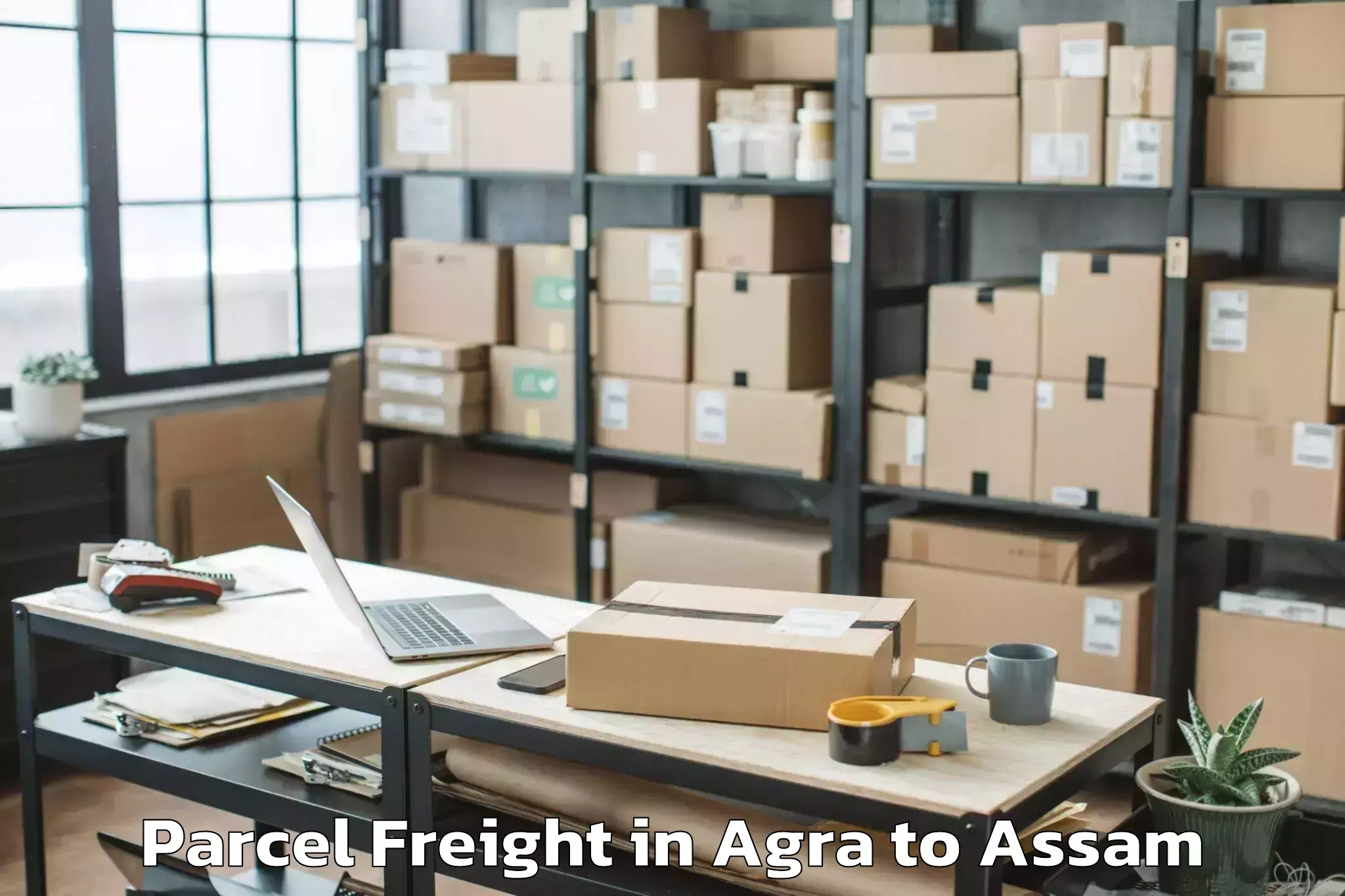 Top Agra to Bokakhat Parcel Freight Available